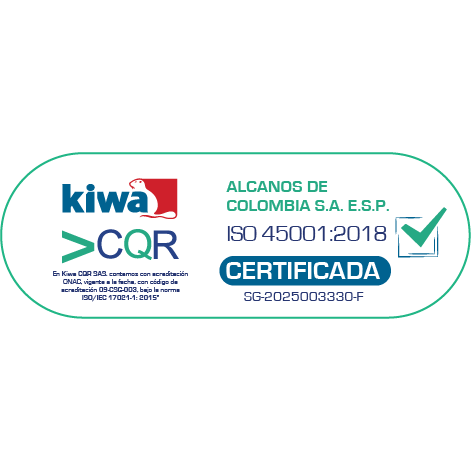 Sistema de Gestión de la Seguridad y Salud en el Trabajo