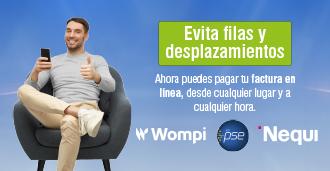 PAGA EN LÍNEA